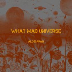 What Mad Universe : Aldebaran